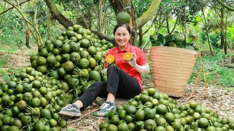 Tìm cách để bạn nam thoát ra khỏi căn phòng an toàn?